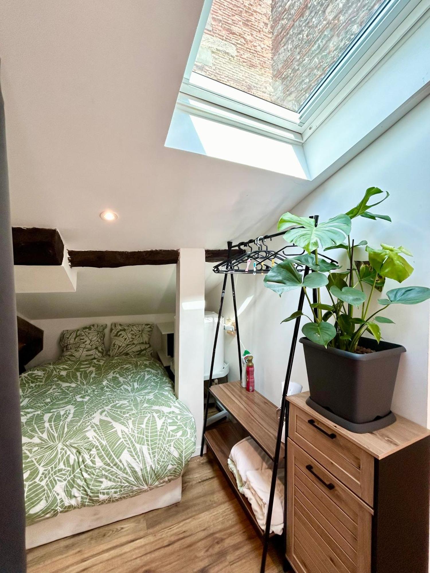 Loft Hortensia Climatise Hyper Centre Castres กัสทร์ ภายนอก รูปภาพ